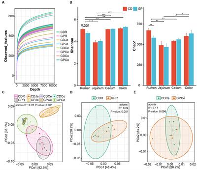 Effect of grape pomace supplement on growth performance, gastrointestinal microbiota, and methane production in Tan lambs